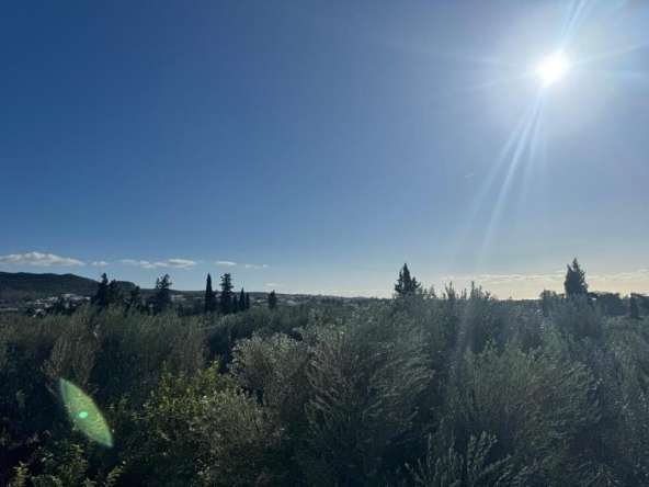 IMG 20241213 WA0015