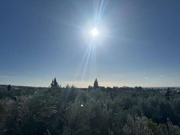 IMG 20241213 WA0016