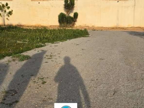 WhatsApp Image 2025 02 02 at 11.27.41